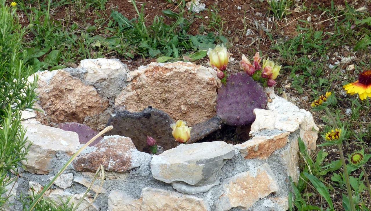 Palme Villa Poreč Eksteriør billede